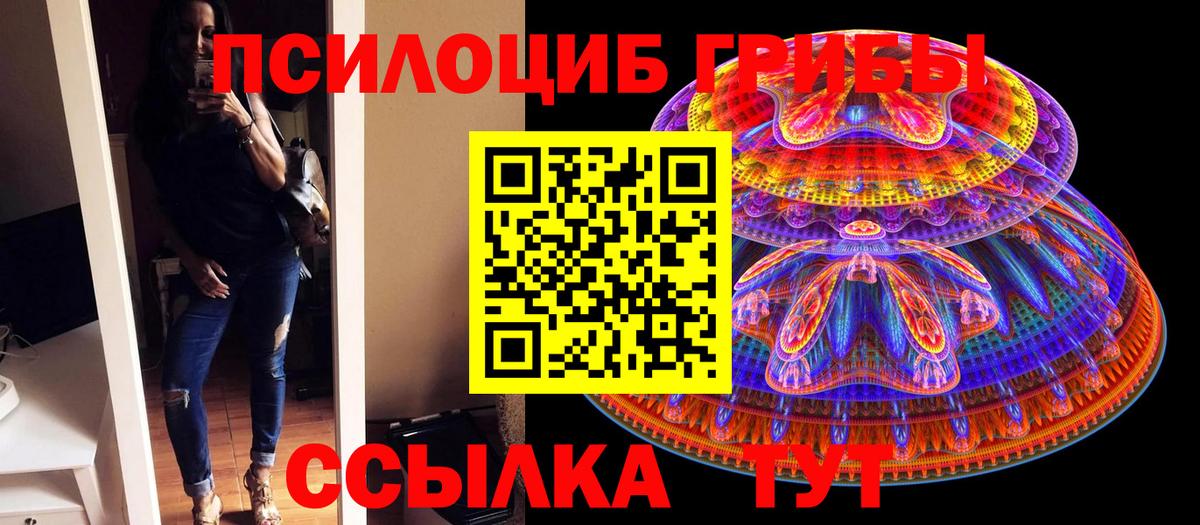 Псилоцибиновые грибы MAGIC MUSHROOMS Корсаков