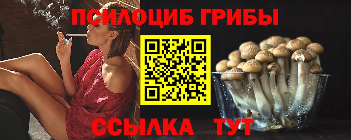 Псилоцибиновые грибы MAGIC MUSHROOMS  Вход с VPN  Корсаков 
